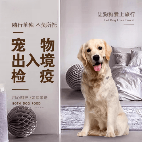 克拉玛依市宠物托运到哥伦比亚猫狗宠物入境规定和