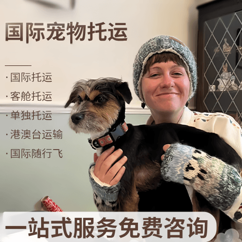 克拉玛依市国际宠物托运到阿根廷宠物入境规定和要