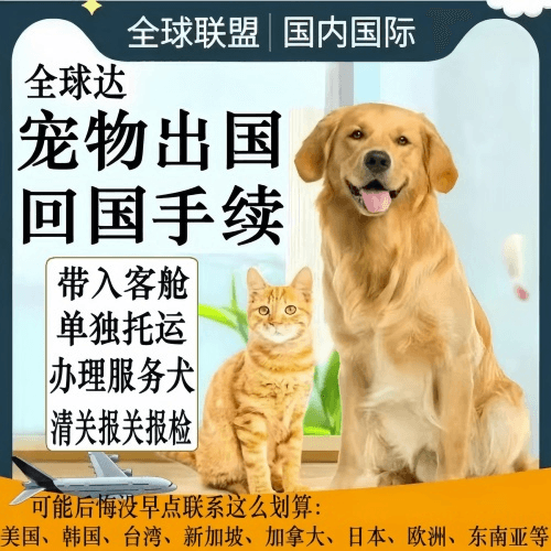 克拉玛依市宠物托运到柬埔寨宠物入境规定和要求