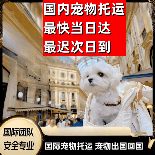 克拉玛依市到澳大利亚（澳洲）宠物入境规定和要求