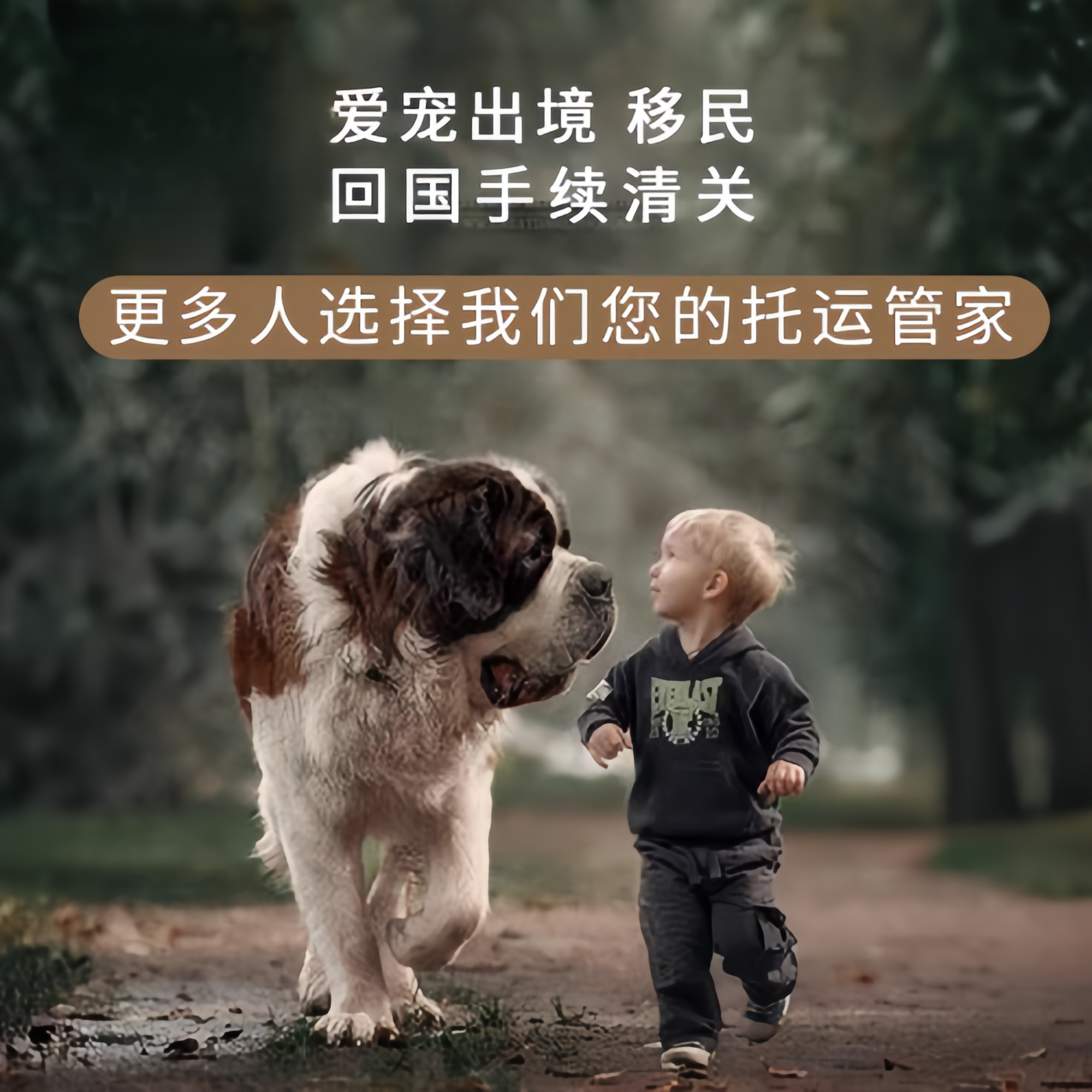 满财克拉玛依市宠物全球达宠物托运在遵守入境目的地政策的条件