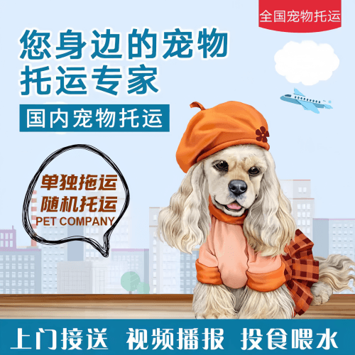 满财克拉玛依市宠物全球达宠物托运作为专业的宠物运输代理机构